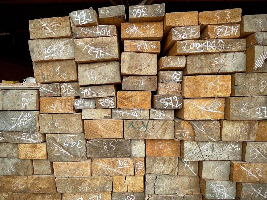 Plafonds ressources Duflot : conditions pour les locataires