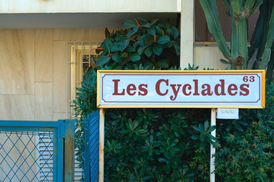 Zones loi Duflot : A bis, A et B1 - éligibilité et carte